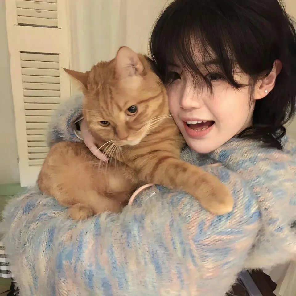 亚历山大大帝：封神之路